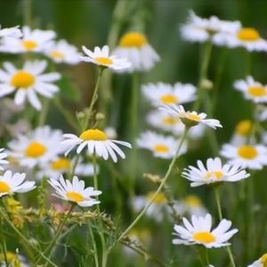 Bundle of two or more items for more discounts